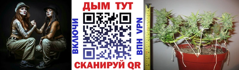 Виды наркоты Белово Бошки Шишки Метамфетамин COCAIN Alpha-PVP ГАШИШ Меф Псилоцибиновые грибы